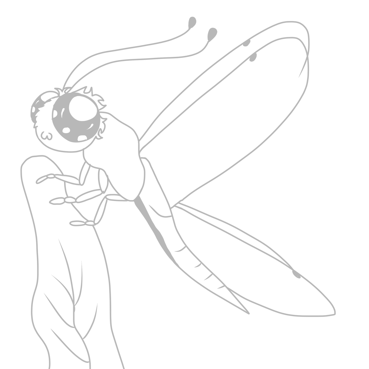 owlfly adult